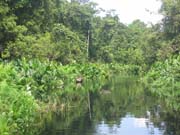 Národní park Petit Loango.
