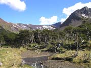 Trek po Tierra del Fuego - Caňadón de la Oveja.