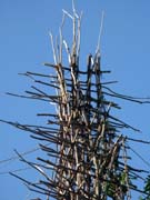 Vršek skokanské věže. Dřevo, bambus, lijány jsou nejtypičtější stavební materiály.