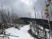 Vysokohorská sedla jsou zasněžená i na jaře. Cesta z údolí Paro do dalšího údolí.