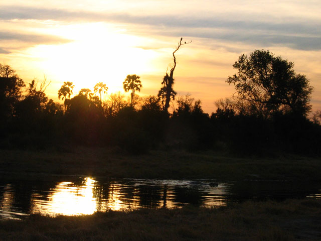 Západ slunce nad Okavangem.