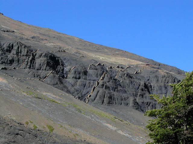 NP Torres del Paine - vypreparovan ly aplitu.