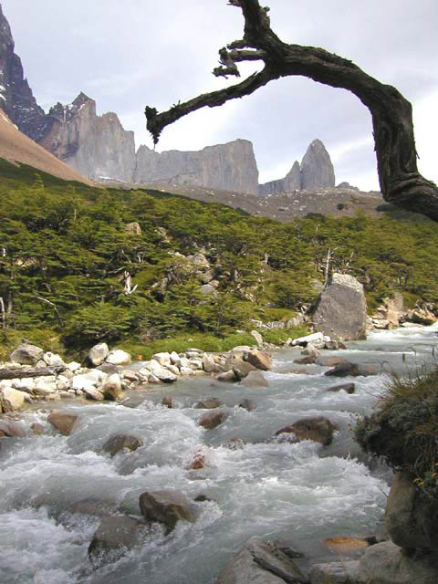 NP Torres del Paine - Valle del Francs.