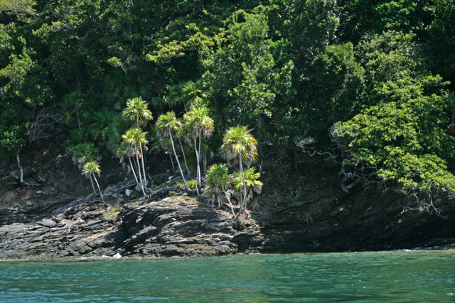 Cayos Cochinos, ostrvky u msta Sambo Creek v Honduraskm zlivu.