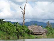 Typické vesnické obydlí na řece Sepik.