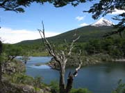 Nrodn park Tierra del Fuego, Patagonie.